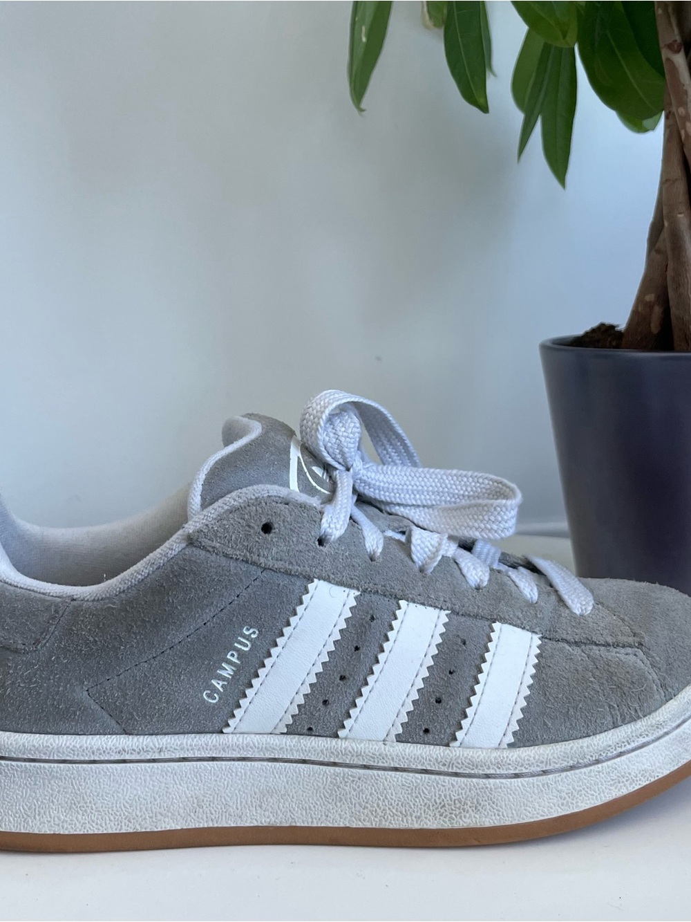 Women Size 7 adidas Campus 00s
Grey White Shoes Boy 5.5Y